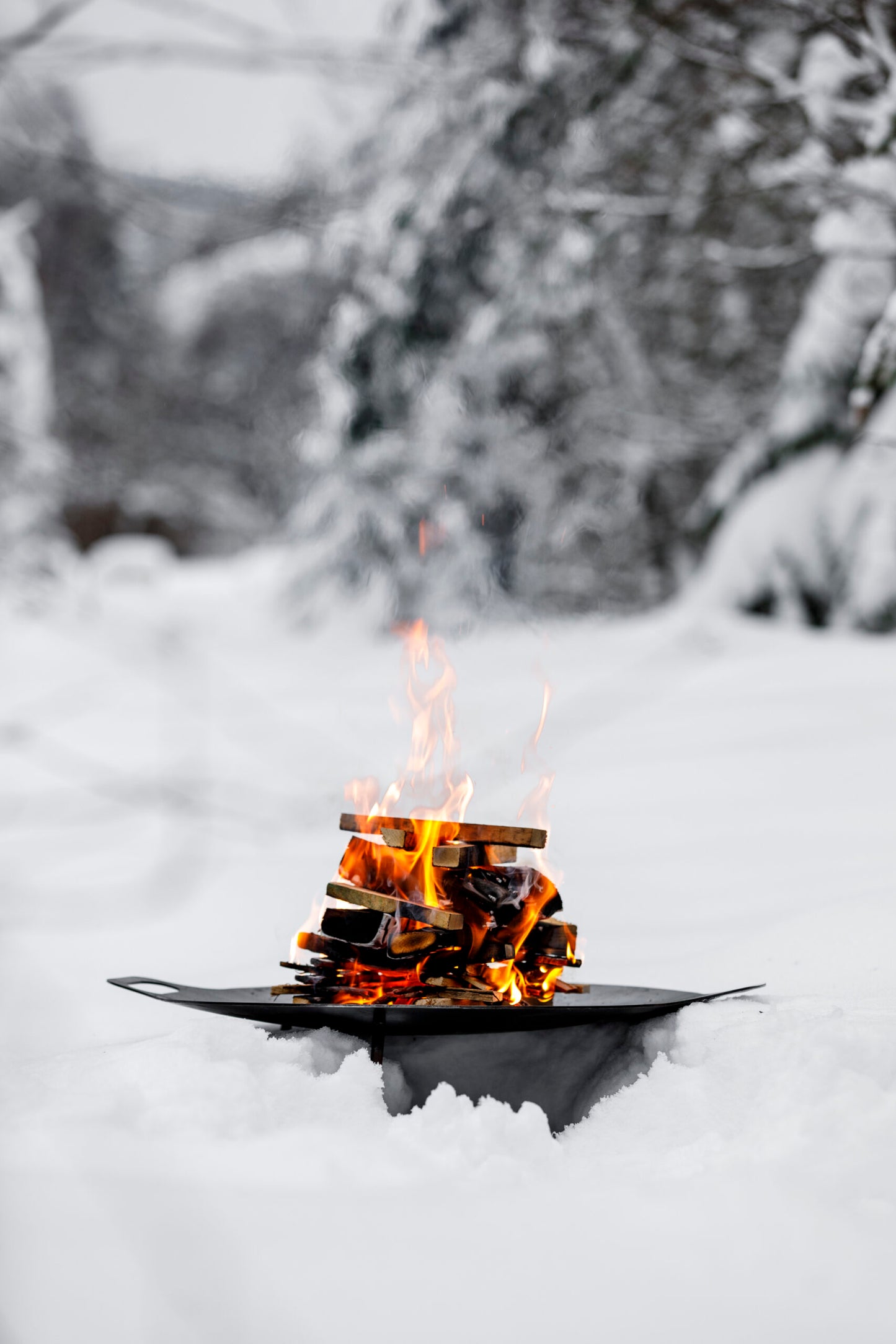 Petromax Griddle and Fire Bowl FS48
