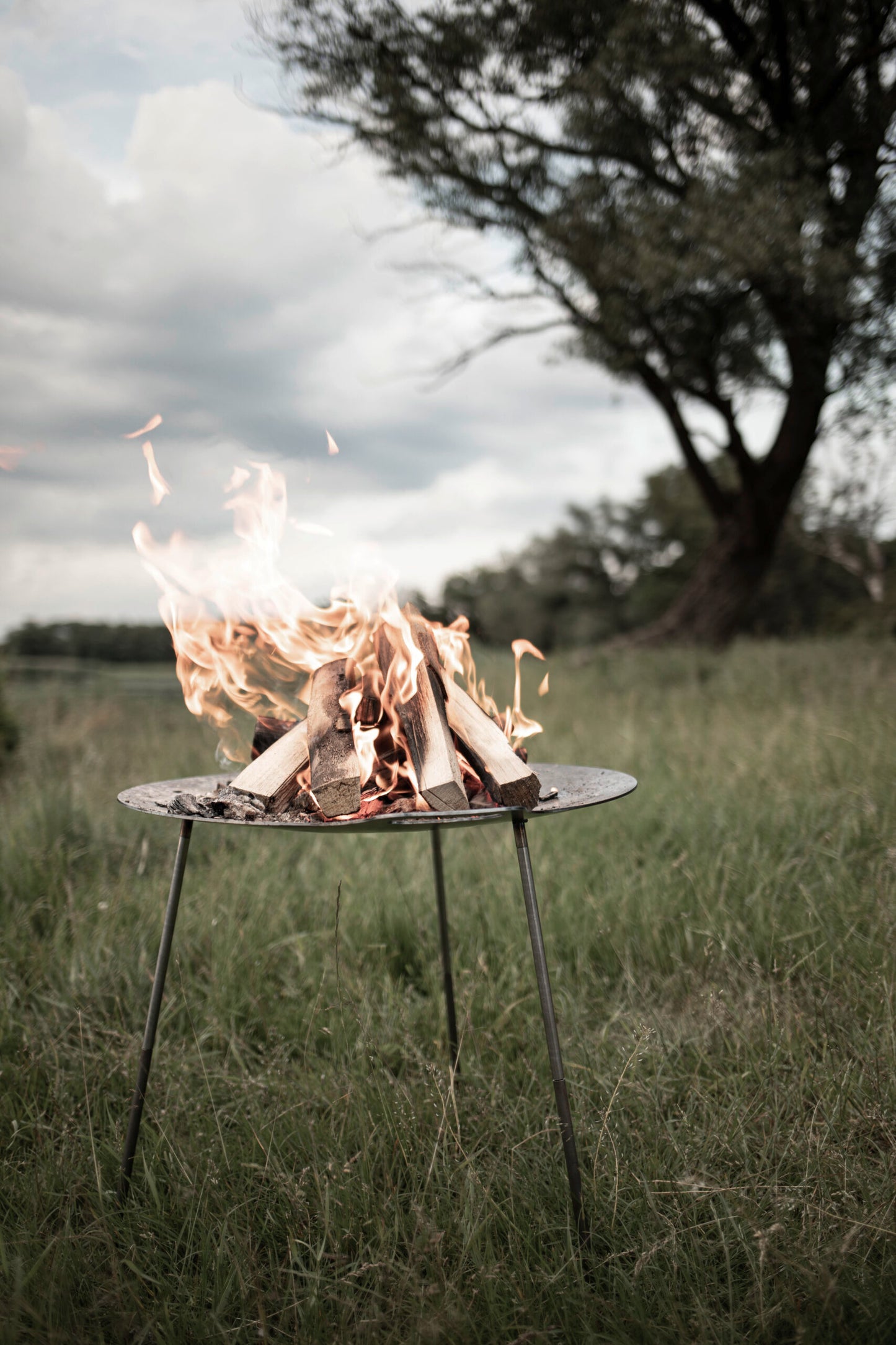 Petromax Griddle and Fire Bowl FS56